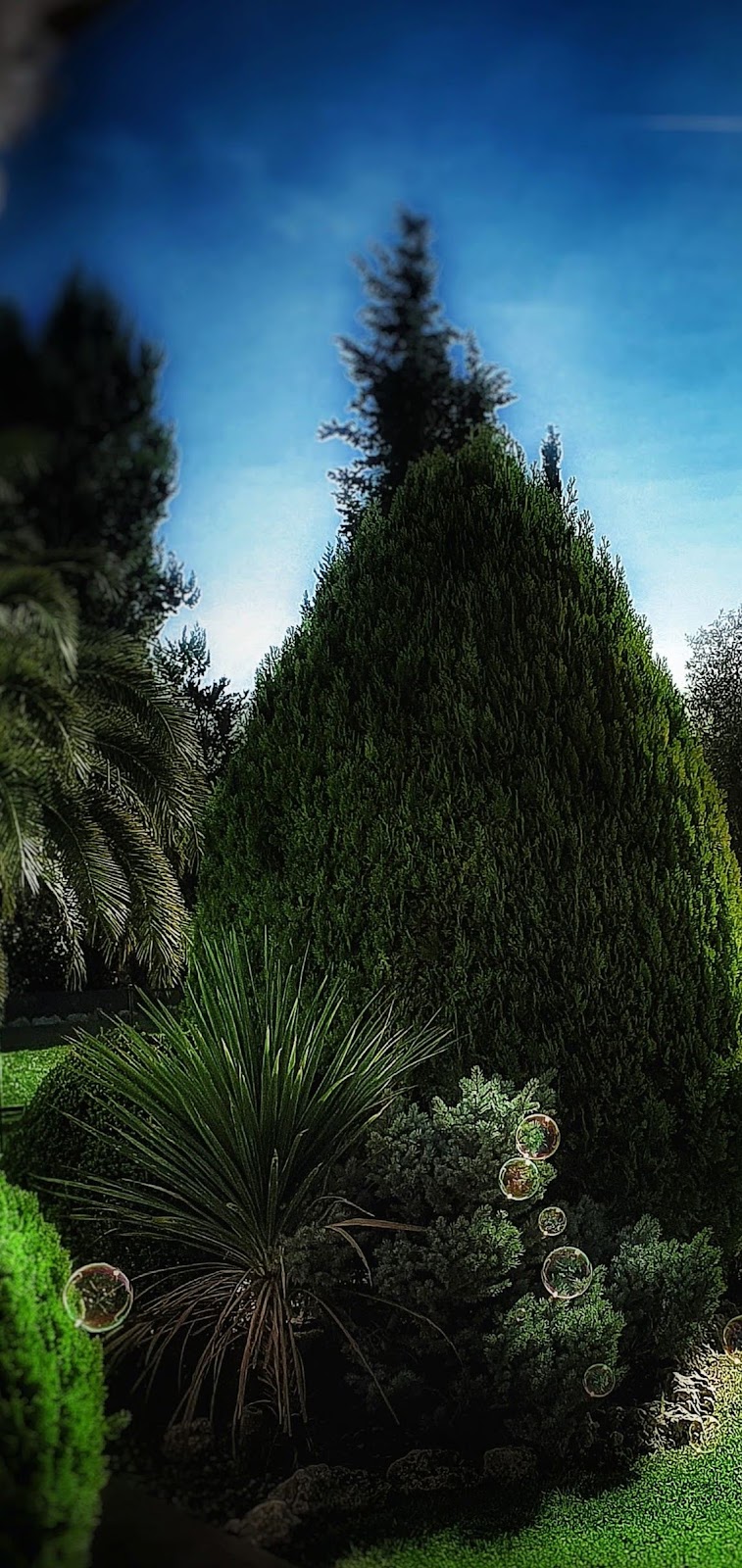 Imagen representativa de la localización