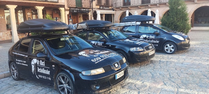 Imagen de Mr Black Deshollinador