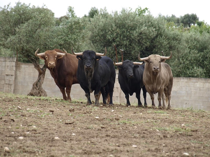 Imagen representativa de la localización