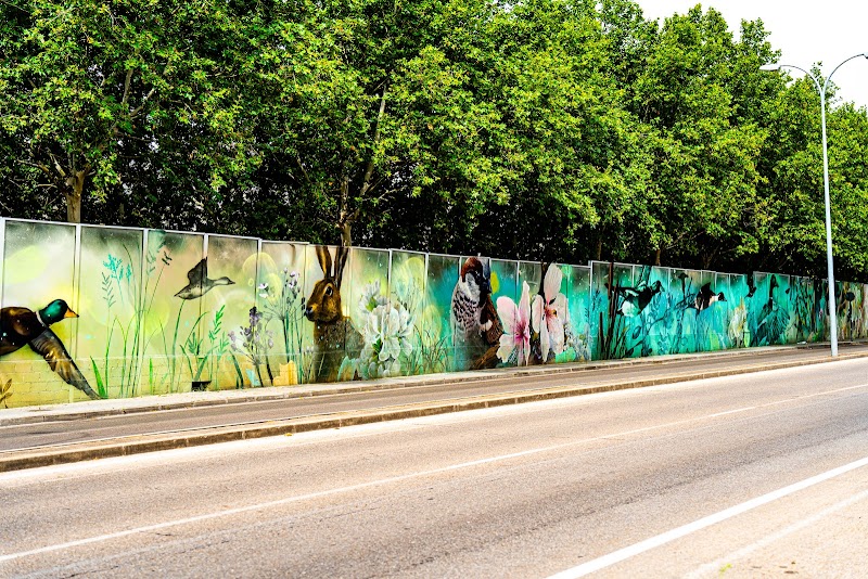 Imagen representativa de la localización