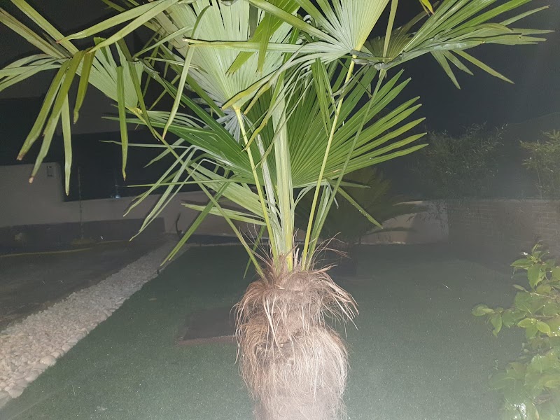 Imagen de Jardines Torrejón