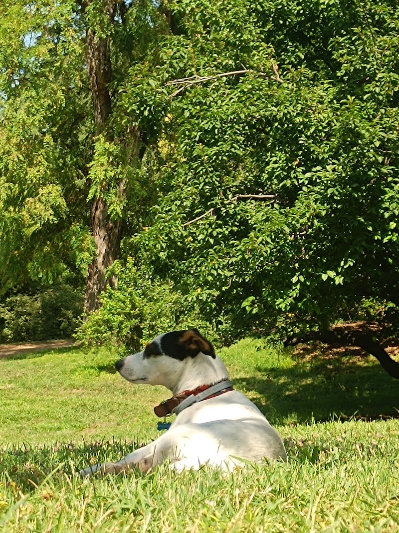 Imagen de Paseoyouperro