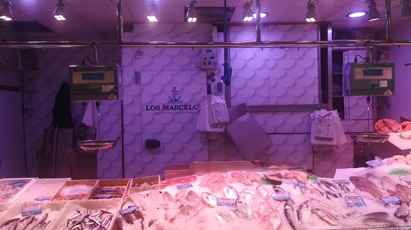 Imagen de Los Marcelos