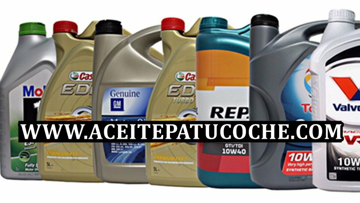Imagen de Aceitepatucoche.com