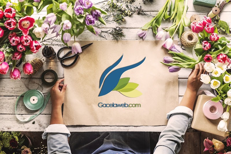 Imagen de Gacelaweb – Agencia de Marketing Digital Madrid