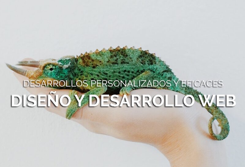 Imagen de Gacelaweb – Agencia de Marketing Digital Madrid