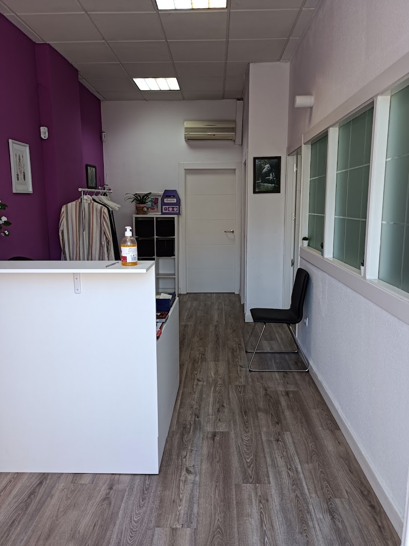 Imagen de Círculo Veggie