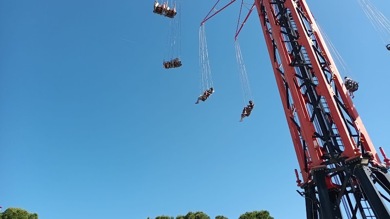 Imagen de Star Flyer