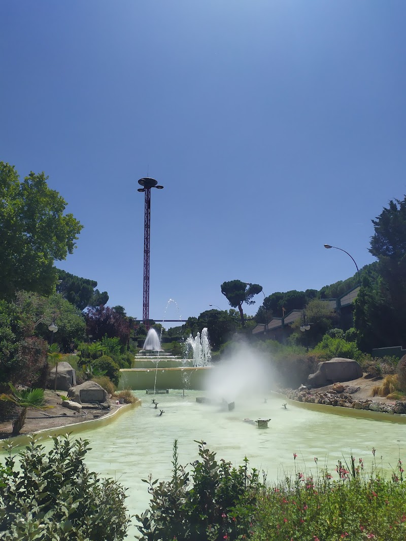 Imagen de Star Flyer