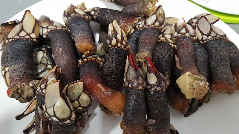 Imagen de Pescados y Mariscos la Gaviota