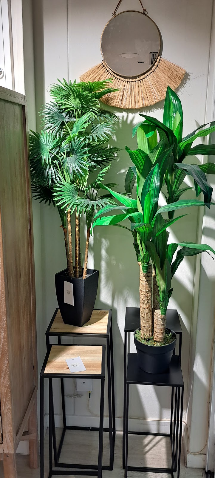 Imagen de Circus Decoración y Regalos