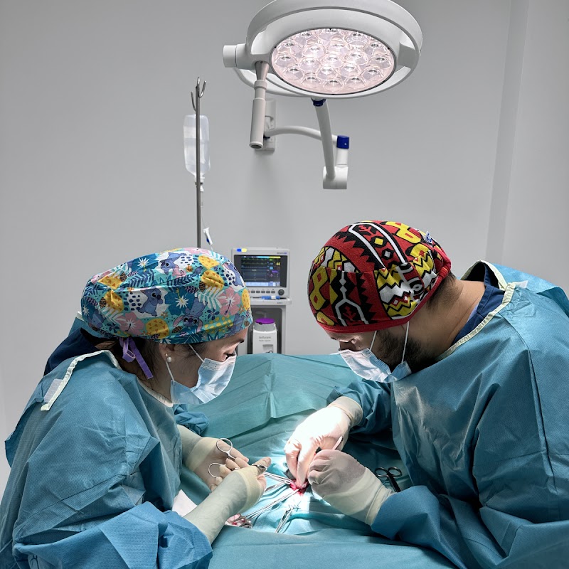 Imagen de Tres Valles – Clínica Veterinaria 24h