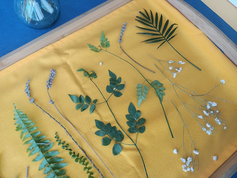 Imagen de Boutique Botánica By Theskygarden