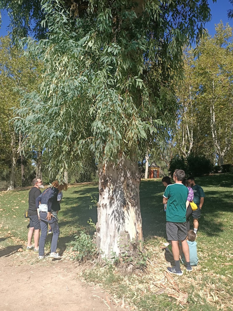 Imagen de Boutique Botánica By Theskygarden