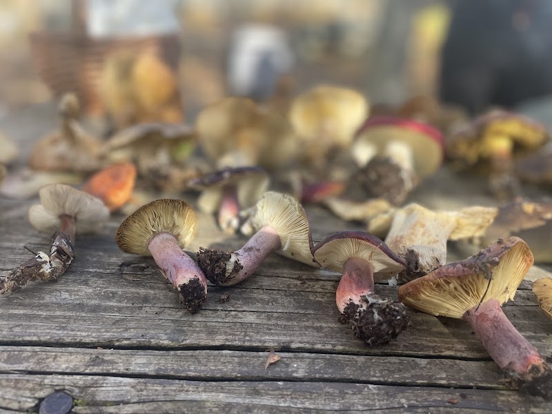 Imagen de Sporty People