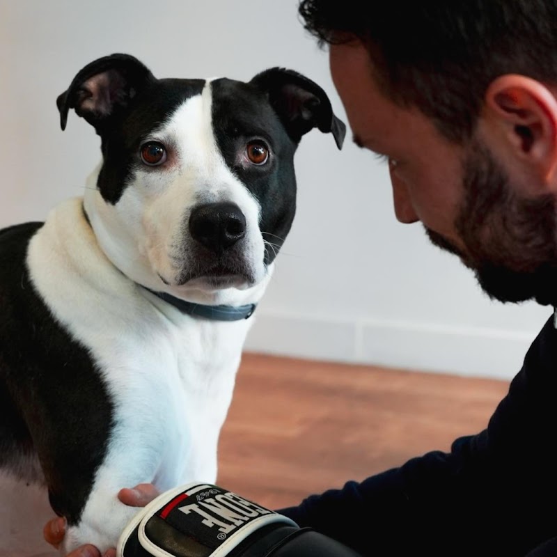 Imagen de Carlos Khaibar Boxing Academy