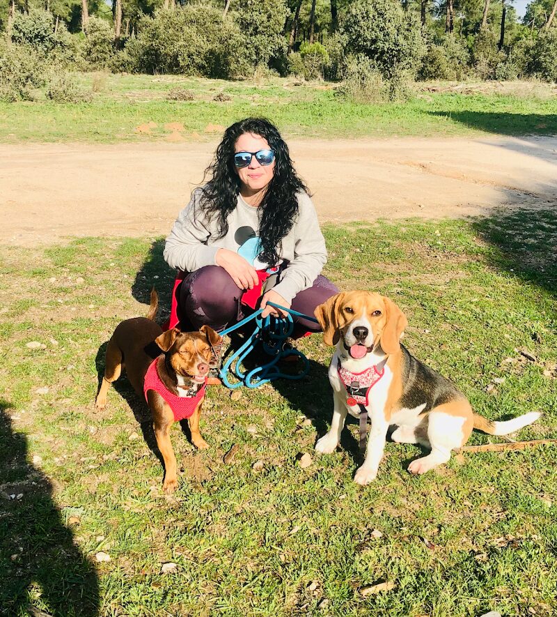 Imagen de Lolitospets