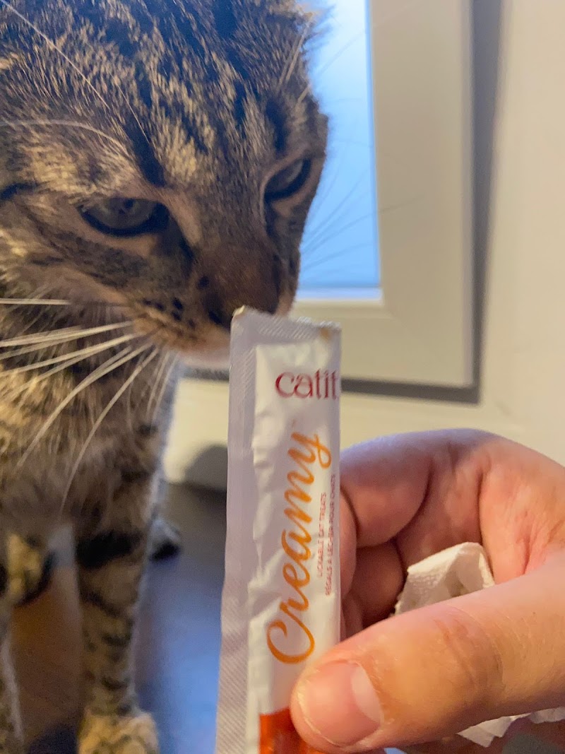 Imagen de Lolitospets