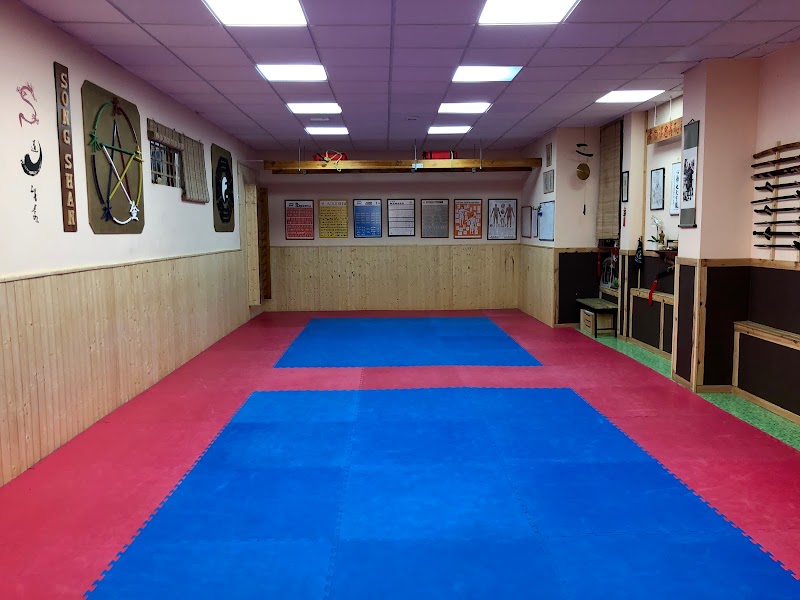 Imagen de Kyusho Dim Mak D.k.i.