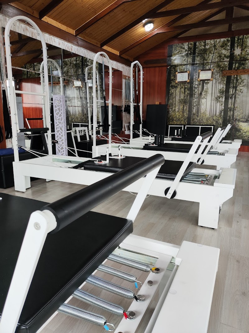 Imagen de Pilates Reformer Moraleja