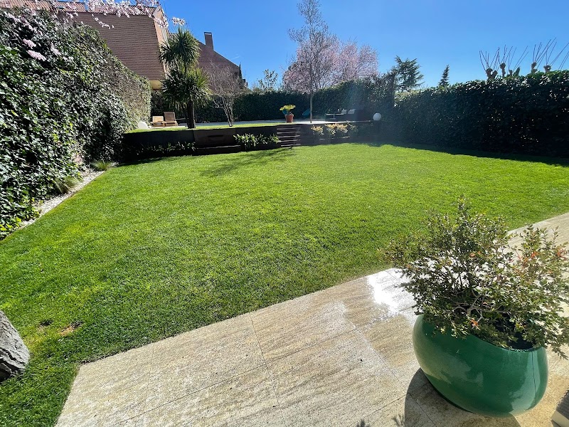 Imagen de Trevo Jardinería