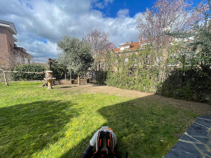 Imagen de Trevo Jardinería