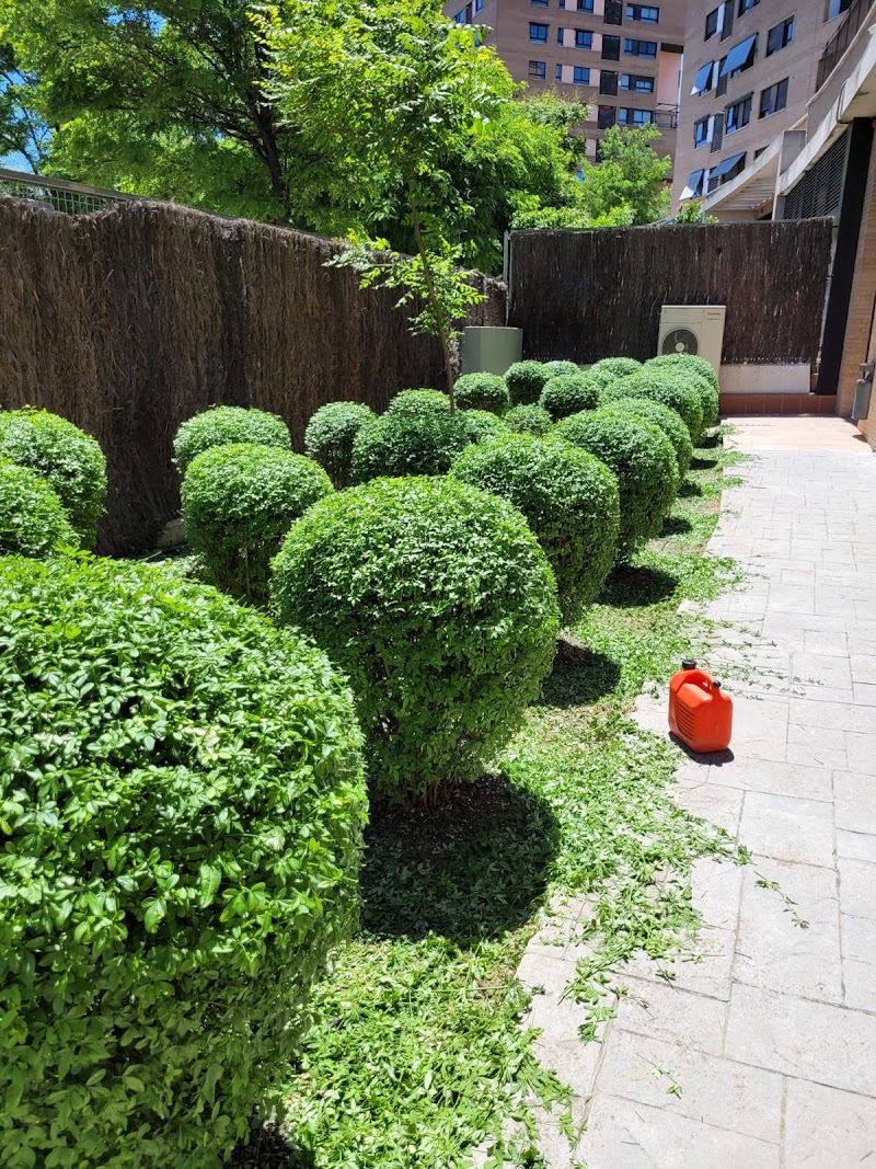 Imagen de Trevo Jardinería