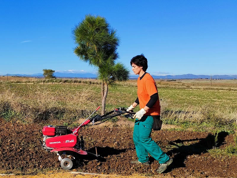 Imagen de negocio en Jardinería en Navalcarnero