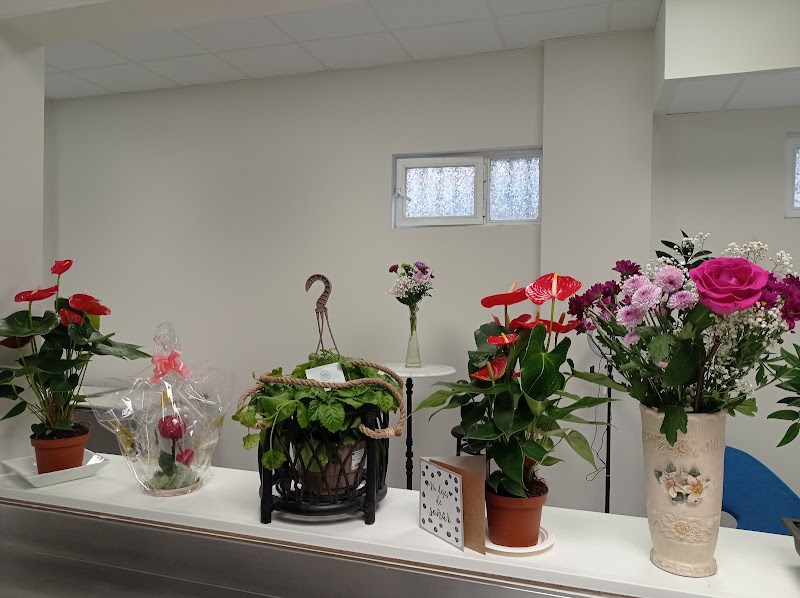 Imagen de Espacio Lusitana