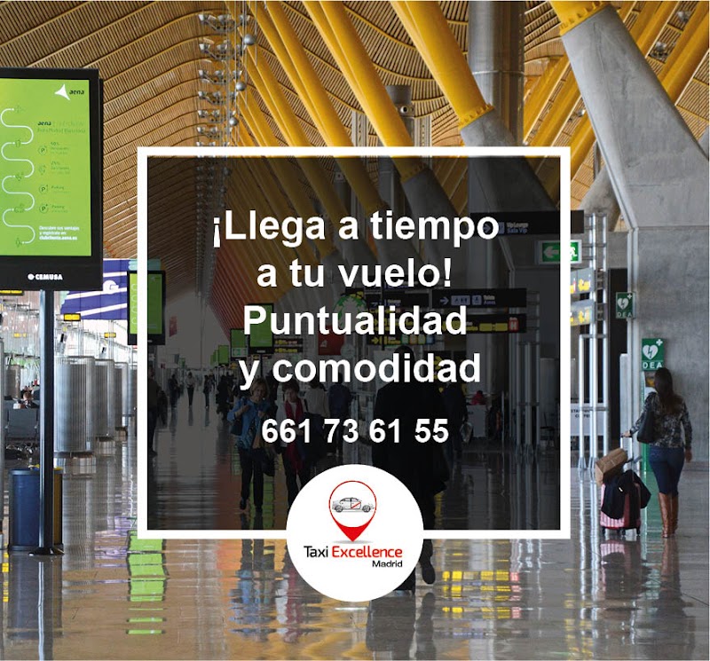 Imagen de Taxi Arroyomolinos Excellence Madrid