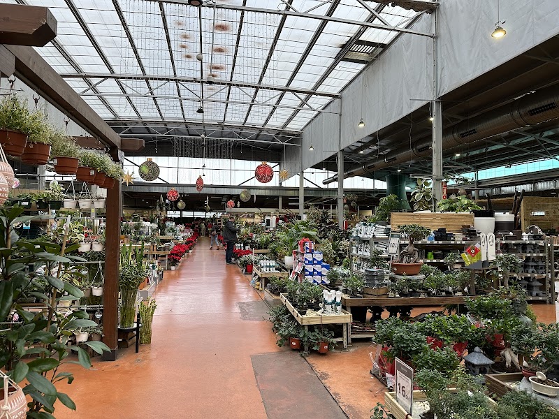 Imagen de Verdecora Parquesur