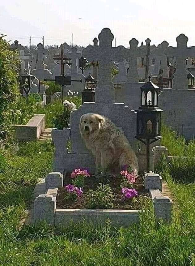 Imagen representativa de la localización