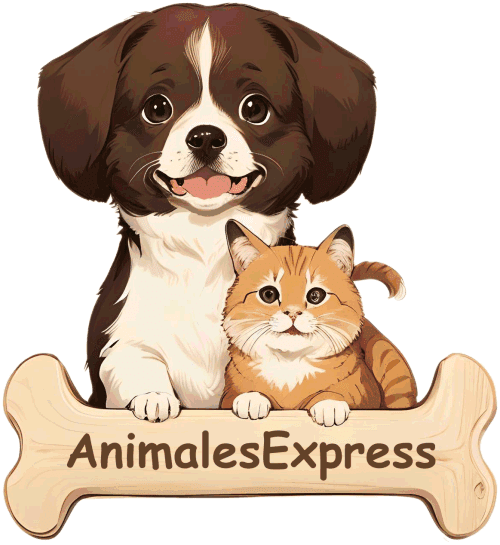 Imagen de Animales Express · Transporte de Animales