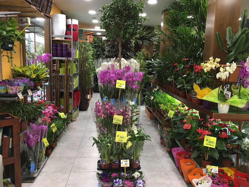 Imagen de El Jardín de la Abuela