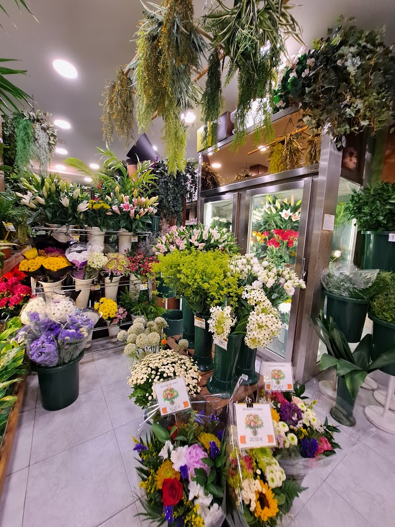 Imagen de El Jardín de la Abuela