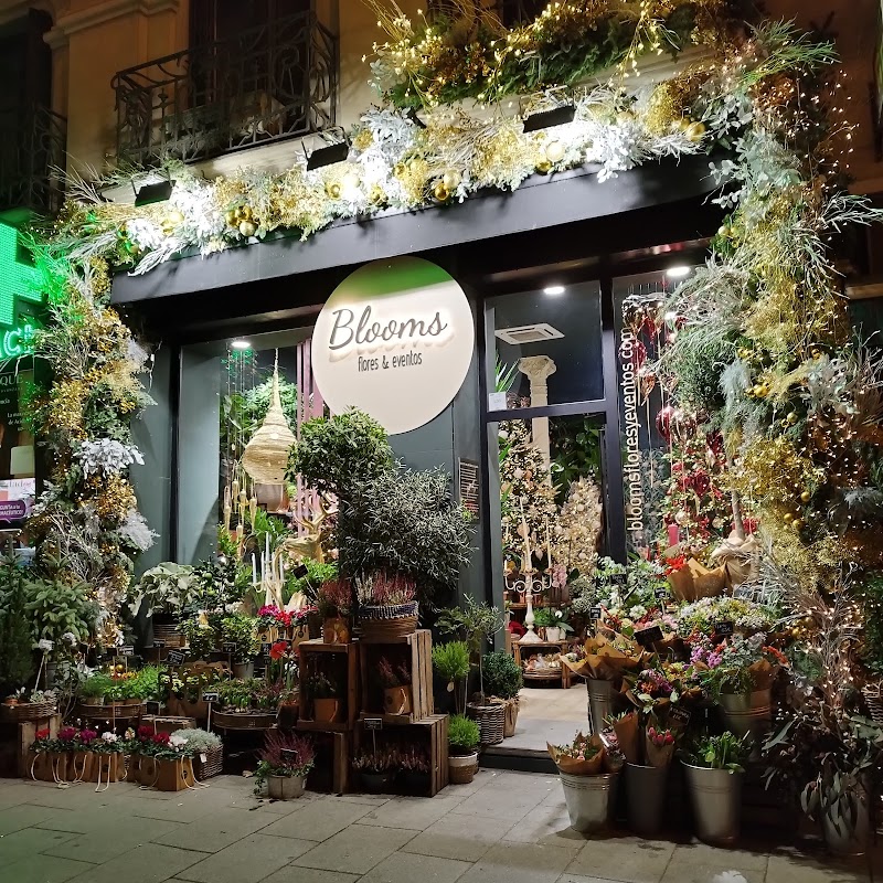 Imagen de Floristería Blooms