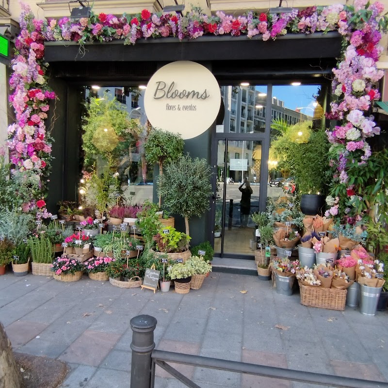 Imagen de Floristería Blooms