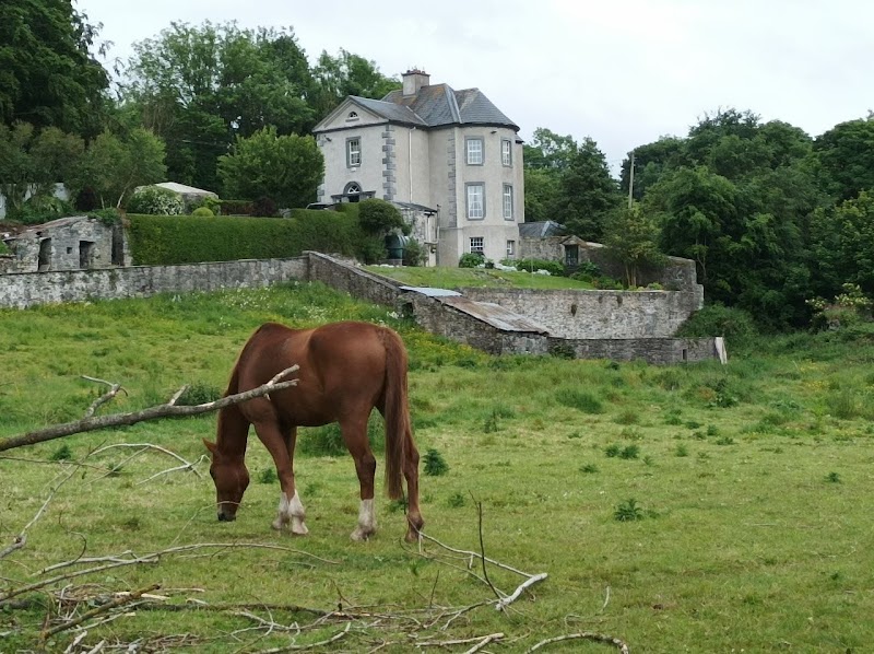 Imagen de Servicios Veterinarios a Domicilio
