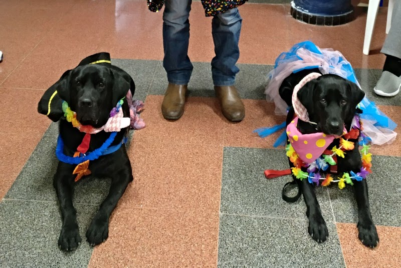 Imagen de Atap Canarias