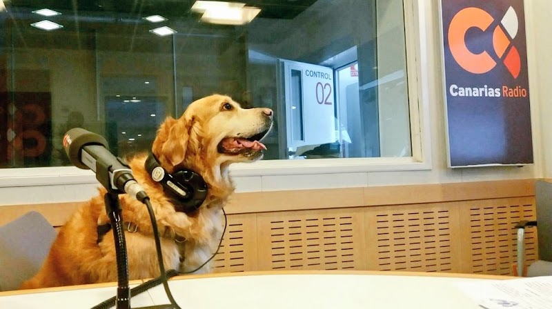 Imagen de Atap Canarias