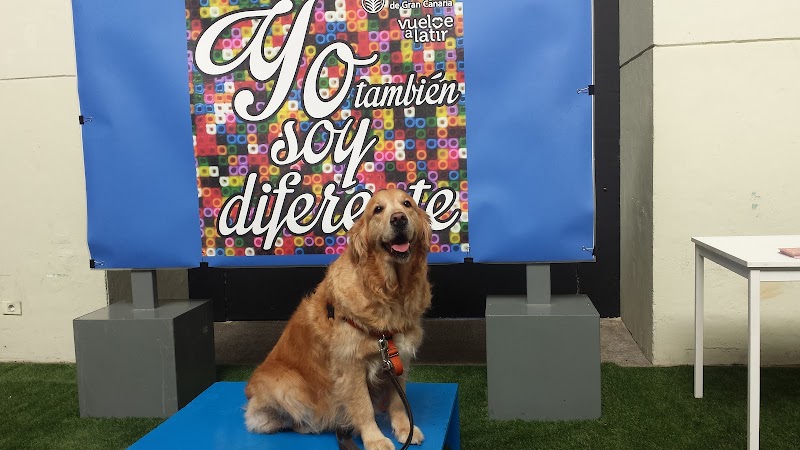 Imagen de Atap Canarias