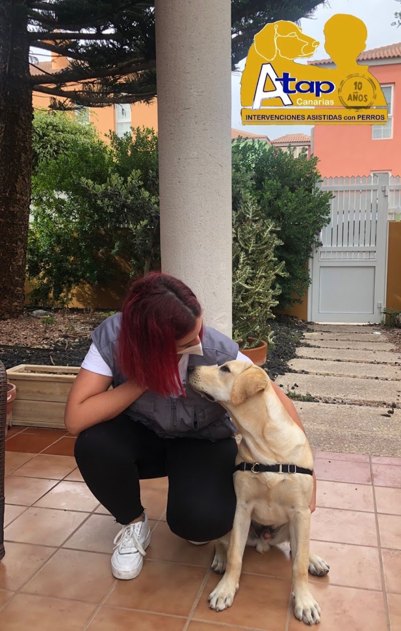 Imagen de Atap Canarias