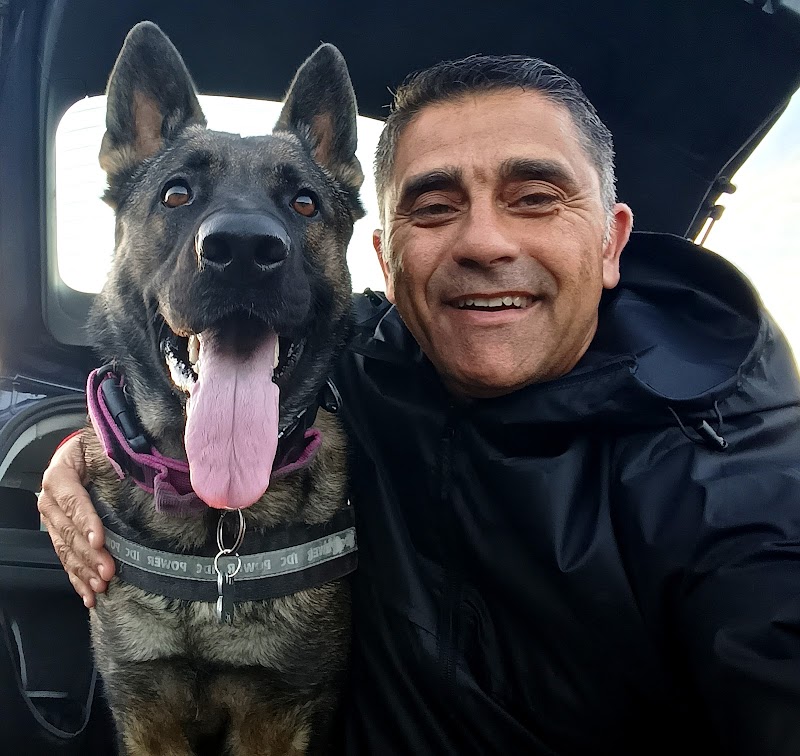 Imagen de Víctor Herrera Adiestramiento Dogdana