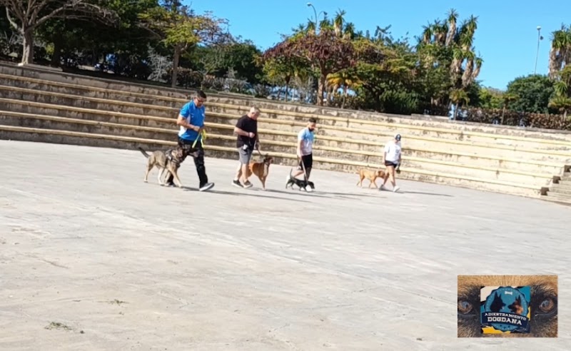 Imagen de Víctor Herrera Adiestramiento Dogdana
