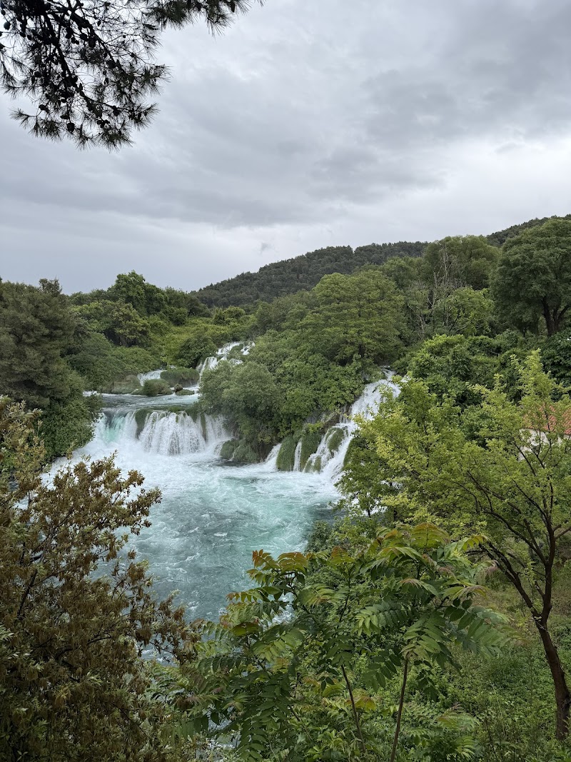 Imagen de Magic Travel Experience