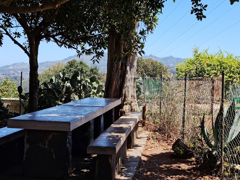 Imagen de Reserva Natural Especial de el Brezal