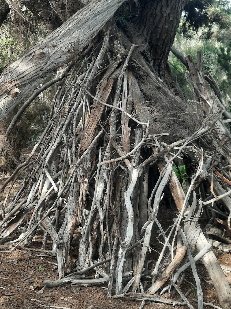 Imagen de Reserva Natural Especial de el Brezal