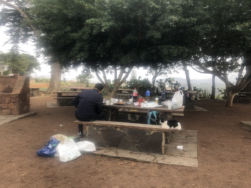 Imagen de Reserva Natural Especial de el Brezal