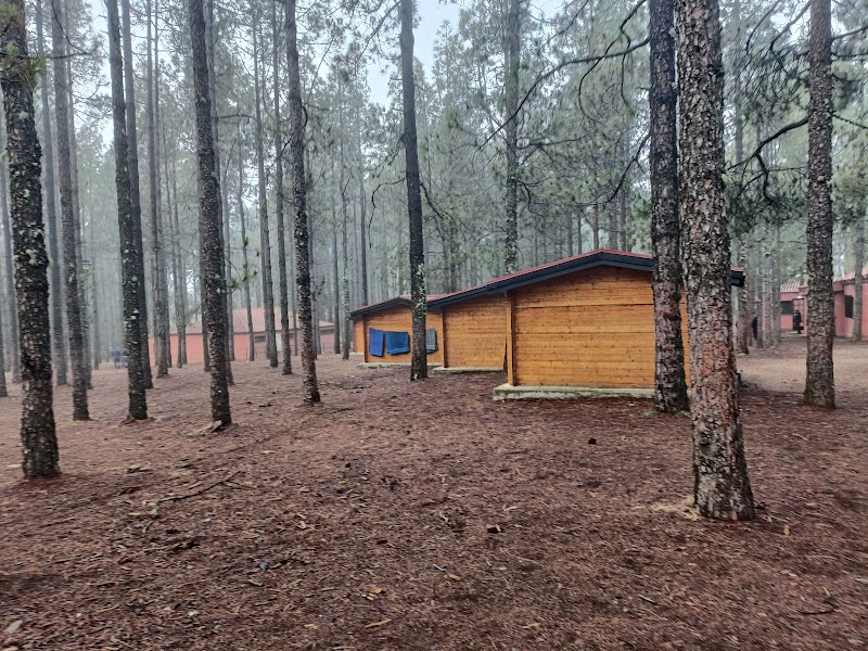 Imagen de negocio en Camping en Canarias