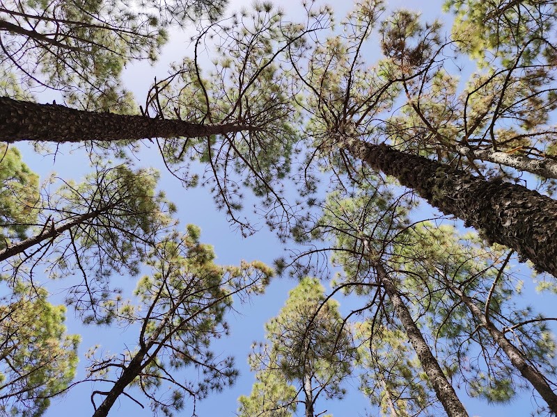 Imagen de negocio en Camping en Canarias